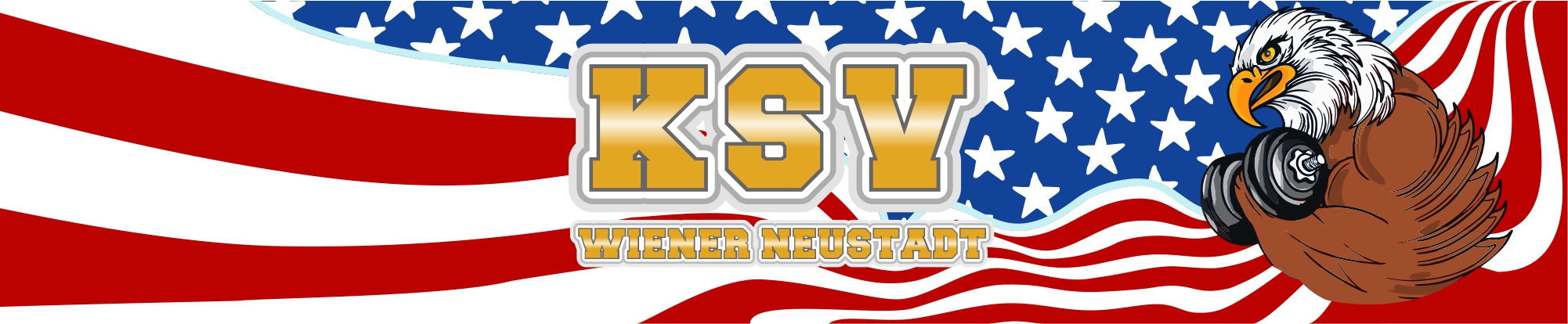 ksv Wienerneustadt / Typo by bluecherry.at